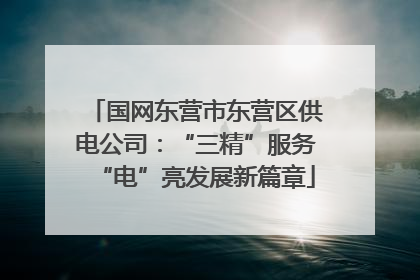 国网东营市东营区供电公司：“三精”服务“电”亮发展新篇章